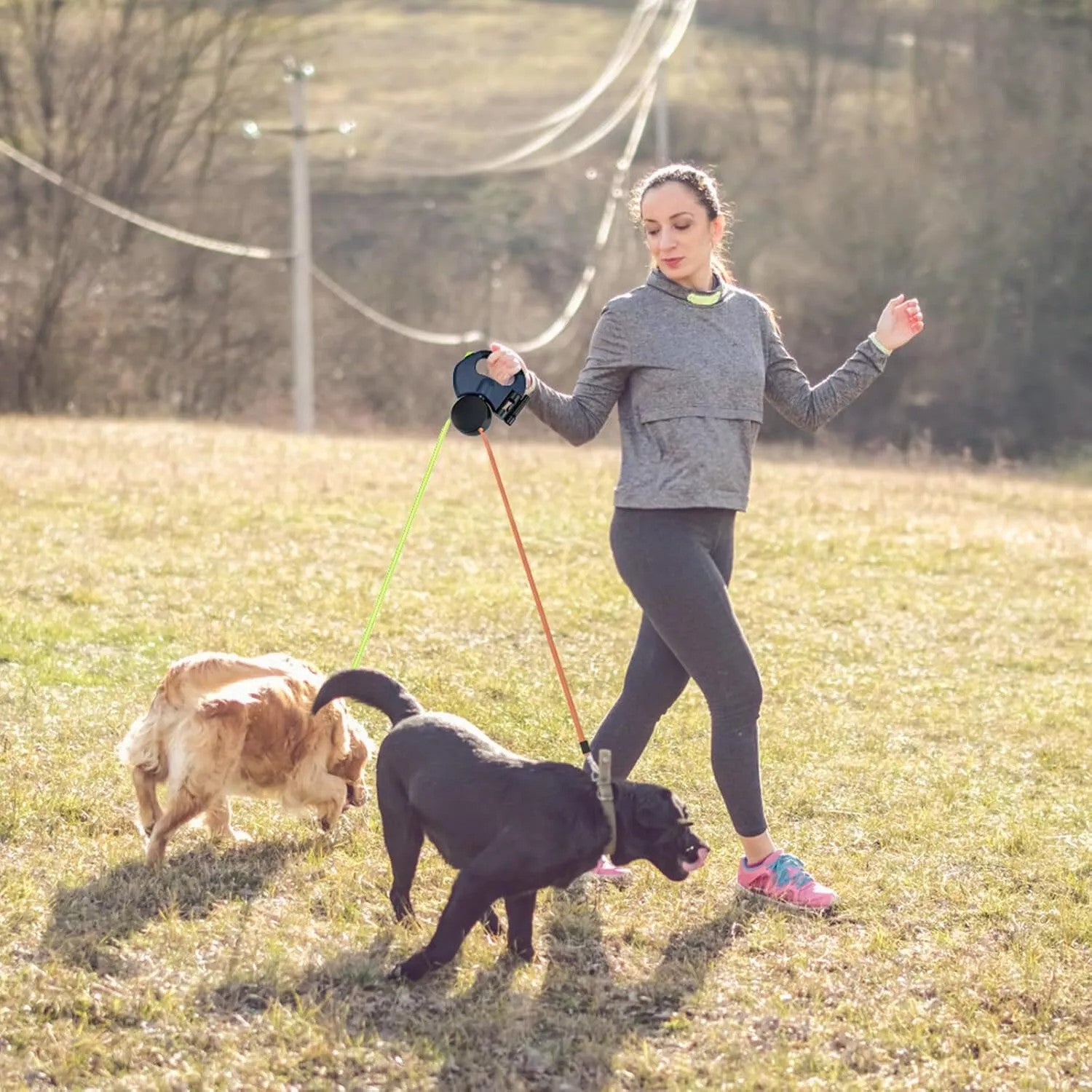 Retractable Dog Leash For Small Dogs Reflective Dual Pet Leash